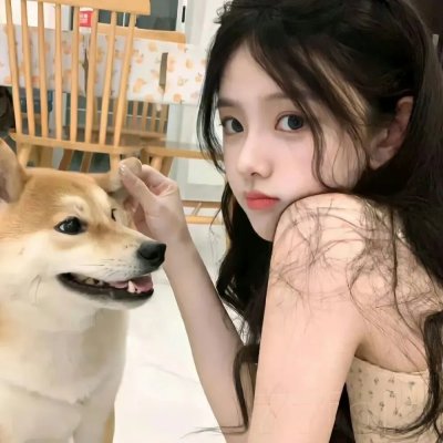 大灰熊2